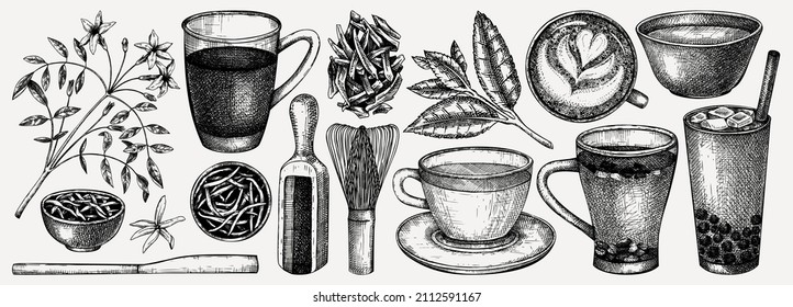 Hand-sketched tea drinks and ingredients collection. Vector sketches of hot beverage cups, dried leaves, jasmine blossom. Green Tea, black tea, white tea, matcha drawing for menu design on white