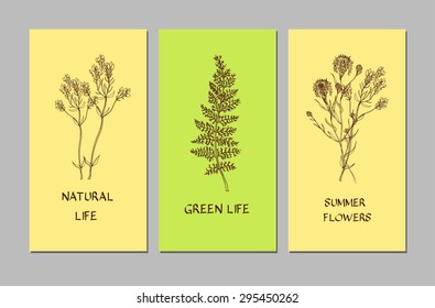 Hand-sketched templates with wildflowers, grasses. Templates for design. Eco,  health, natural, seasons. Suitable for ads, invitations, signboards, business  card, and web banner designs