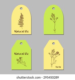 Hand-sketched templates with wildflowers, grasses. Templates for design. Eco,  health, natural, seasons. Suitable for ads, invitations, signboards, business  card, and web banner designs