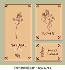 Hand-sketched templates with wildflowers, grasses, leaves and decorative elements.  Eco, wood, nature, health, natural, seasons.
