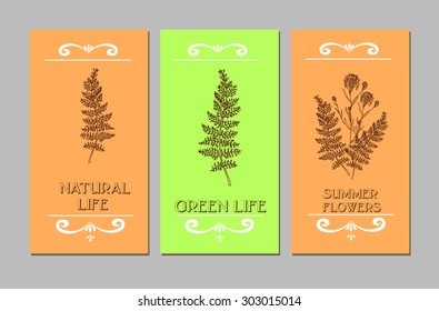 Hand-sketched templates with wildflowers, grasses, leaves and decorative elements.  Eco, wood, nature, health, natural, seasons. Suitable for ads, invitations, signboards, business  card