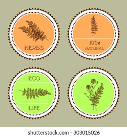Hand-sketched templates with wildflowers, grasses, leaves and decorative elements.  Eco, wood, nature, health, natural, seasons. Suitable for ads, invitations, signboards, business  card