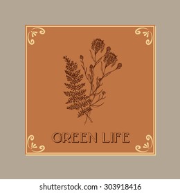 Hand-sketched templates with wildflowers, grasses, leaves.  Eco, wood, nature, health, natural, seasons. Suitable for ads, labels, invitations, signboards, business  card, and web banner designs