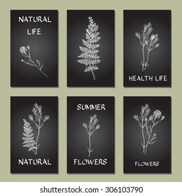 Hand-sketched templates with wildflowers, grasses, leaves and decorative elements. Eco, wood, nature, health, natural, seasons. Suitable for ads, invitations, signboards, business  card