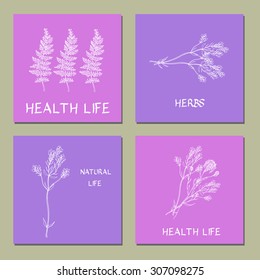 Hand-sketched templates with wildflowers, grasses, leaves and decorative elements. . Eco, wood, nature, health, natural, seasons. For ads, invitations, signboards, business  card