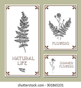 Hand-sketched templates with wildflowers, grasses.Eco, wood, nature, health, natural, seasons. Suitable for ads, invitations, signboards, business  card, and web banner designs