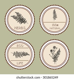 Hand-sketched templates with wildflowers, grasses.Eco, wood, nature, health, natural, seasons. Suitable for ads, invitations, signboards, business  card, and web banner designs