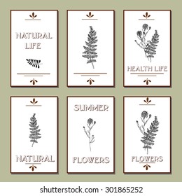 Hand-sketched templates with wildflowers, grasses.Eco, wood, nature, health, natural, seasons. Suitable for ads, invitations, signboards, business  card, and web banner designs