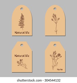 Hand-sketched templates with wildflowers, herbals, leaves. Eco, wood, nature, health, natural, seasons. Suitable for ads, invitations, signboards, business  card, and web banner designs