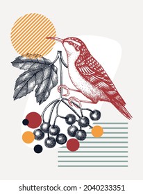Hand-sketched Treecreeper vector illustration. Perching bird on viburnum branch. Collage style illustration with geometric shapes and abstract elements. Creative bird art. Print, poster, card design