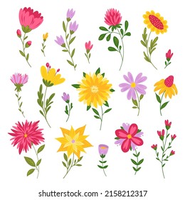 Handsketched vector collection of spring and summer abstract stylized flowers. Modern floral illustration, botanical clipart. Flourish design elements. Spring mood, summer vibe.