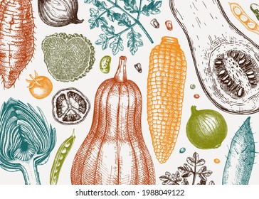 Hand-sketched vegetable vector background. Healthy food ingredients banner template. Vintage vegetables, herbs, mushrooms illustrations for menu, web banner, recipes, branding.