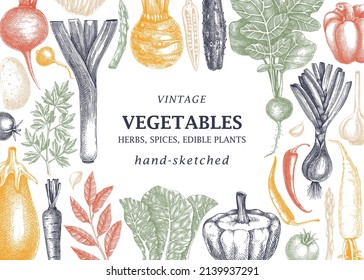 Hand-sketched vegetable vintage frame. Hand-drawn tomatoes, squashes, peppers, potatoes, asparagus, and other vegetable design. Healthy food background for menu, recipe, restaurant, packaging.