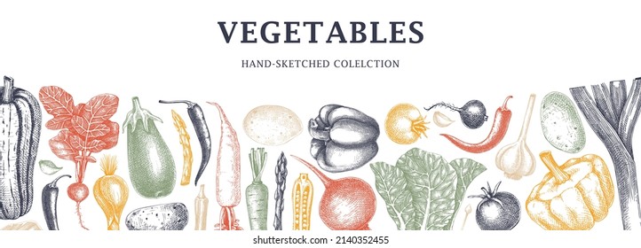 Hand-sketched vegetables design in color. Hand-drawn tomatoes, squashes, peppers, potatoes, asparagus and other vegetables. Healthy food banner for menu, restaurant, packaging. Botanical illustration 