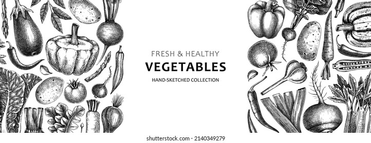 Hand-sketched vegetables design. Hand-drawn tomatoes, squashes, peppers, potatoes, asparagus and other vegetables. Healthy food banner for menu, restaurant, packaging, labels. Botanical illustration 