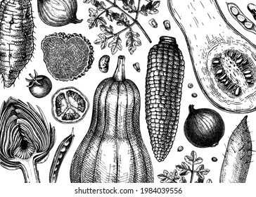 Hand-sketched vegetables vector background. Healthy food ingredients banner template. Vintage vegetables, herbs, mushrooms illustrations for menu, web banner, recipes, branding.