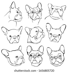 Handsome Black French Bulldog Logo. Picture portrait of french bulldog vector.