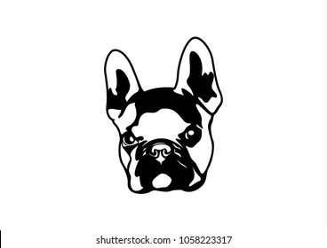 Handsome Brown French Bulldog Logo. This is Frenchie Series in Black and White style. You can bring him and create him on your product or any you want. It's suitable for use as a logo, or symbol.