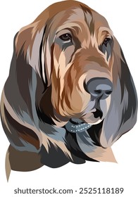 Handsome dog seen posing for photo