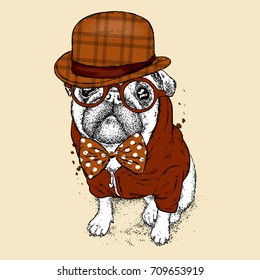 A handsome pug with glasses and a hat. Vector illustration for a postcard or a poster, print for clothes. Dog hipster in clothes. Fashion & Style. Funny puppy.