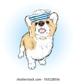 A handsome puppy in a sailor's cap. A pedigree dog in clothes and accessories. Corgi. Vector illustration.
