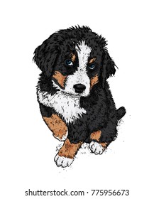 A handsome puppy. Vector illustration. Painted thoroughbred dog. Hipster.