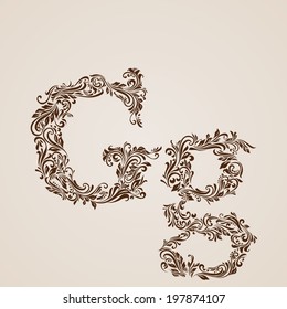 Handsomely decorated letter g in upper and lower case.