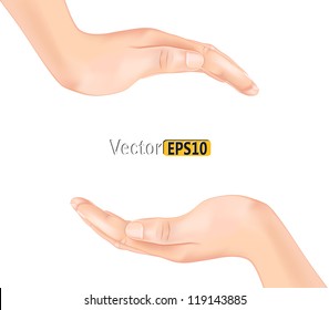 hands.vector