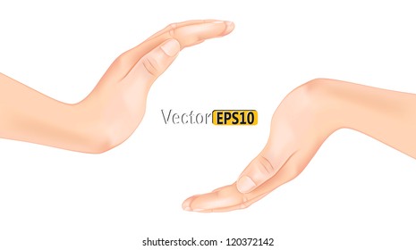 hands.vector