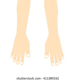 hands.Vector Illustration
