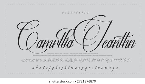 handwrite signature font Caligrafía Logotipo Script Pincel Tipo de fuente Letras de fuentes manuscritas  