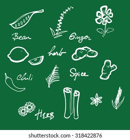 Handwriting blackboard herbs and spice
