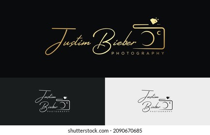 Handwriting logo template vector. signature logo concept.