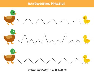 Handwriting practice with cute cartoon duck and little baby duckling. Tracing lines for kids. Educational worksheet for children. Practicing writing skills for preschoolers.