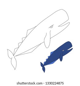 Handwriting practice sheet. Simple educational game for kids. Vector illustration of sperm whale for coloring book