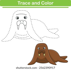 Handwriting Practice. Tracing lines and coloring walrus for children. Vector Illustration