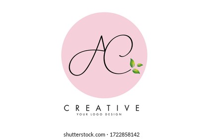 Handwritten AC A C Letters logo design with a pink circle as a background and leaves details. Creative Vector Illustration with letters A and C. Eco and Organic Concept.