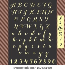 Handwritten alphabet calligraphic characters vector typeface vintage and numbers