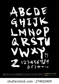 Handwritten alphabet / alphabet and numbers / vector - calligraphy