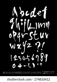 Handwritten alphabet / alphabet and numbers / vector - calligraphy