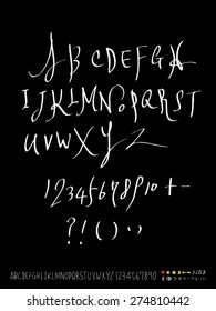 Handwritten alphabet / alphabet and numbers / vector - calligraphy