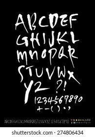 Handwritten alphabet / vector - calligraphy