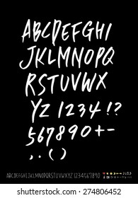 Handwritten alphabet / vector - calligraphy