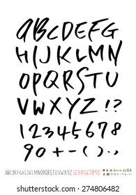 Handwritten alphabet / vector - calligraphy