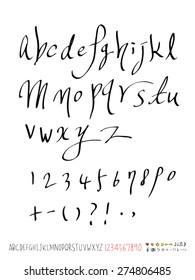 Handwritten alphabet / vector - calligraphy