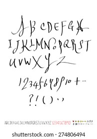 Handwritten alphabet / vector - calligraphy