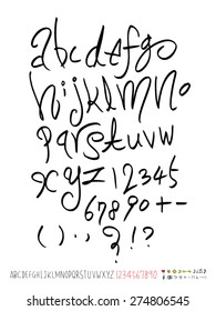 Handwritten alphabet / vector - calligraphy