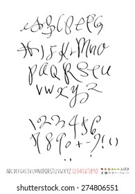Handwritten alphabet / vector - calligraphy