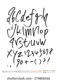 Handwritten alphabet / vector - calligraphy