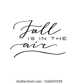 Handwritten autumn season inscription. Vector hand lettering Fall is in the air. Modern brush calligraphy isolated on white background.